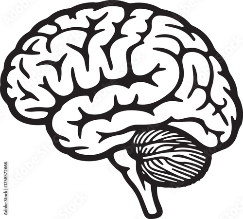Stylized Black and White Illustration of a Human Brain