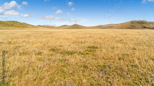 Grasslands covered with straw in the Ecuadorian Andes.