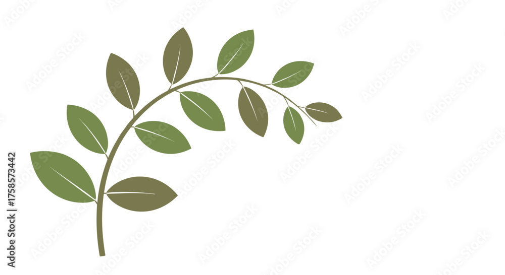 Fototapeta premium A delicate branch with green leaves arches gracefully against a white background.