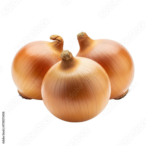 Wallpaper Mural Three whole yellow onions with brown skin and visible root ends on background vegetable food Torontodigital.ca