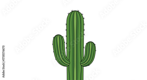 A tall green cactus with two arms on a white background.