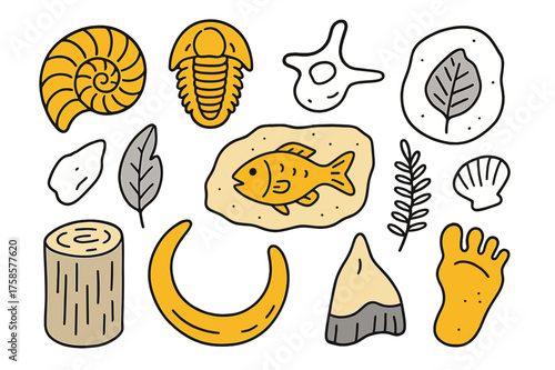 Colorful Fossil Doodle. Fossils. Hand-drawn doodle illustration fossils ammonite (accented), trilobite (accented), dinosaur bone (accented), leaf imprint, fish