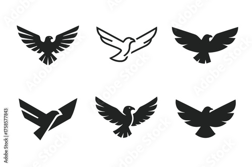 Eagle Logo Concepts. Bird soaring in the sky. Set Logo of Nature: soaring eagle icon. harmonious logo variations of the same emblematic concept, each with