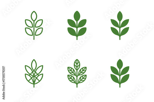 Nature Logo Variations. Nature vibe package design with flowers and plants. Set Logo of Packaging: leafy pattern icon. harmonious logo variations of the same