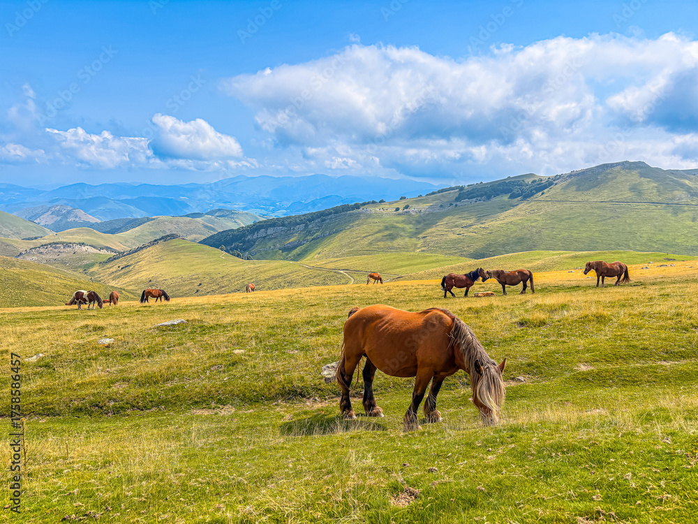Obraz premium Serene Natural Beauty Across the Pyrenees Mountains.