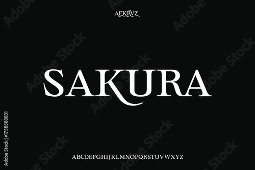 Display alphabet font vector design suitable for headline, poster, logo, magazine and many more