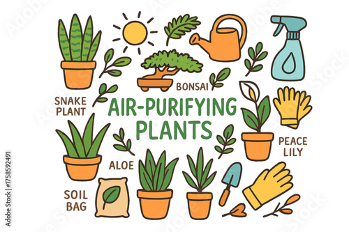 Air-Purifying Plant Doodles. Air-purifying plants. Hand-drawn doodle illustration of Air-purifying plants.
