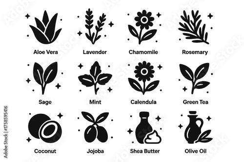 Eco-Friendly Skincare Icons. Eco-Friendly Skincare. Solid icons set of Eco-Friendly Skincare: Aloe Vera, Lavender, Chamomile, Rosemary, Sage, Mint, Calendula,