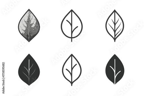 Hyperrealism Leaf Logos. Hyperrealism Meets Minimalism. Set Logo of Hyperrealism Meets Minimalism: Photoreal leaf vein rendered within a single stroke.