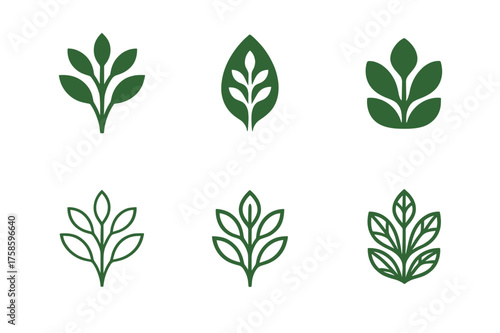 Stylized Nature Logos. Nature vibe package design with flowers and plants. Set Logo of Packaging: stylized plant icon. harmonious logo variations of the same