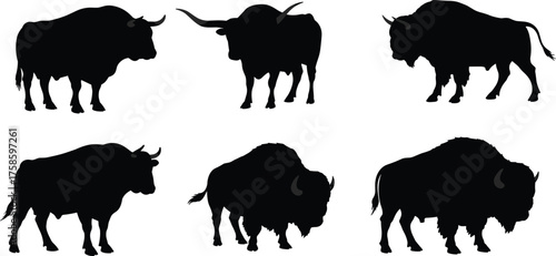 Bovine silhouettes set featuring diverse bull and bison poses, horn variations, muscular profiles, shoulder humps, grazing and charging stances, minimal vector icons