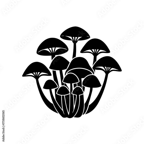 Silhouette of a cluster of fungi on transparent background