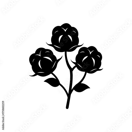 Silhouette cotton flower illustration on transparent background