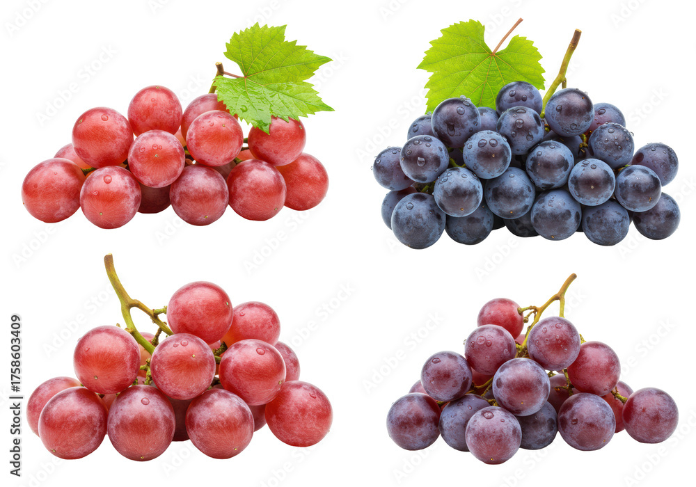 Fototapeta premium Four fresh red and deep purple grape clusters with green leaves, slender stems, glistening water droplets, isolated on transparent with copy space, still life food. Concept of natural freshness