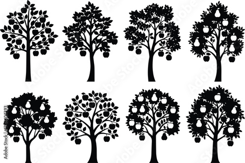 Apple tree silhouette, black vector trees, fruit hanging, orchard design, botanical illustration, foliage pattern, nature graphic, garden element, plant shape