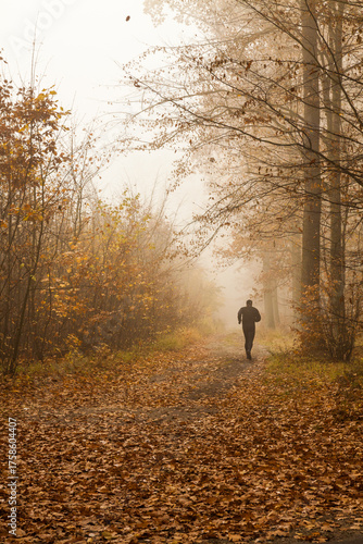 Vertical photo of runner jogging on foggy autumn forest path.