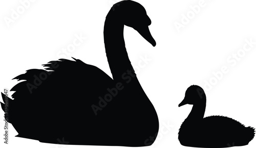 Elegant black swan and cygnet silhouette, parent and offspring bonding, graceful wildlife vector, minimal nature illustration, family protection, motherhood serene connection