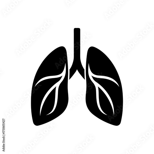 Black lungs with bronchial tubes on transparent background silhouette