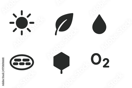 Photosynthesis Icons Set. Photosynthesis Process. Filled icon set of Photosynthesis Process: sun, leaf, water