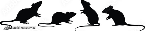 Rat and mouse silhouettes in various poses, black vector icons, rodent illustration, animal shapes, long tail, standing, walking, sitting, isolated design, stock art