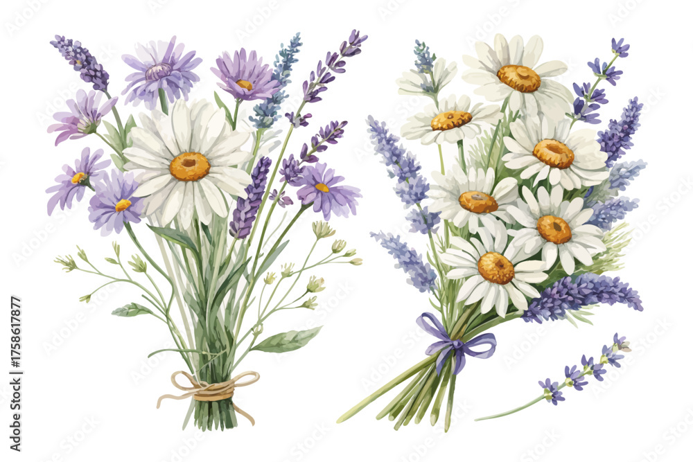 Fototapeta premium Watercolor Daisy and Lavender Bouquet Clipart vector illustration