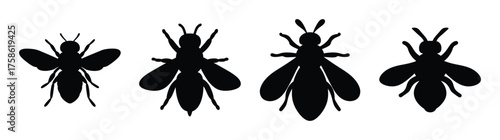 Foursilhouettedbeesinvaryingsizesdisplayingintricatewingandbodydetailsinstarkblack