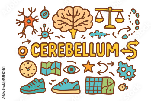 Cerebellum Doodle Art. Cerebellum. Hand-drawn doodle illustration of Cerebellum. Brain outline, neuron,