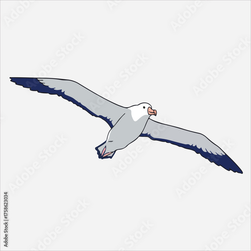 Detailed Illustration of a Flying Albatross with Dark Wingtips and Pink Beak.