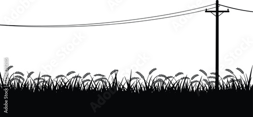 Silhouette tall grass foreground, utility pole with power lines background, minimal nature and industry contrast, black white graphic illustration, rural countryside energy landscape scene
