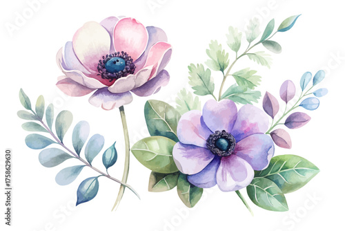 Watercolor Anemone and Eucalyptus Branch Design vector illustration