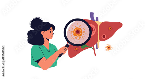 Medical professional examining liver with magnifying glass for signs of disease and infection.