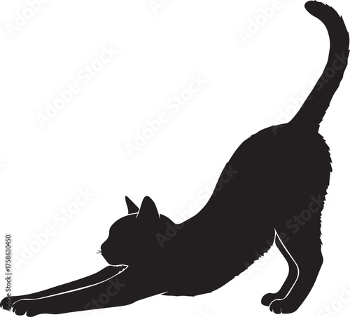 Black cat stretching its body in a full arch pose showing flexibility and grace