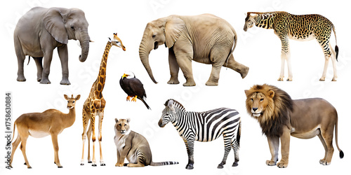 wildlife animal png cut out element set isolated on white background png, ai generated