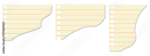 Jagged torn paper set. Black shape ripper and strip. Texture grunge element collection. Vector illustration.  Different shapes of white ripped paper scraps with empty spaces. EPS 10