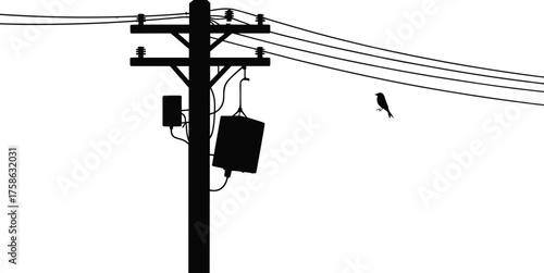 Utility pole silhouette with transformer, electrical wires, insulators, junction box, perched bird, urban infrastructure, power distribution, electricity network, suburban street