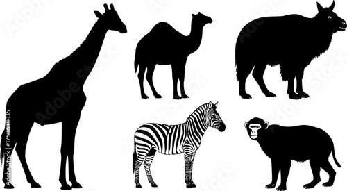 Bundle of four black vector silhouettes diverse safari animals giraffe camel zebra monkey iconic scalable art silhouette White background
