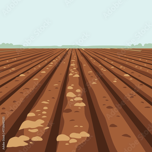 Furrowed brown earth with scattered stones and distant green foliage.