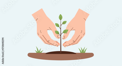 Hands nurturing a small plant growing from soil.
