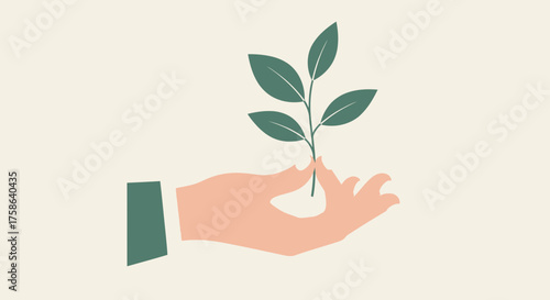 Hand holding a green plant sprout with leaves.