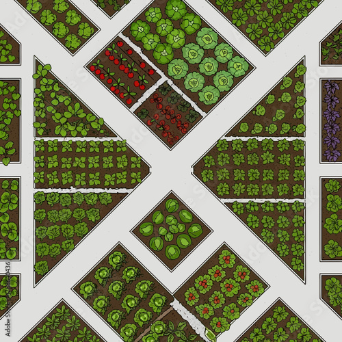 Overhead view of a garden with various vegetables and fruits planted in beds.