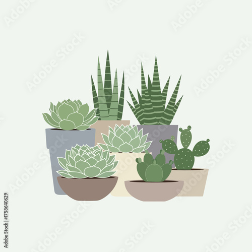 Group of potted succulents and cacti in various green shades.