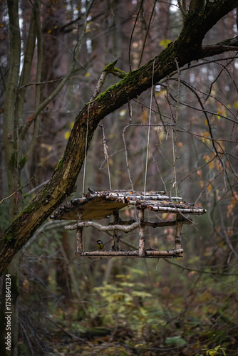 Bird feeder in the autumn forest with watercolor bokeh.