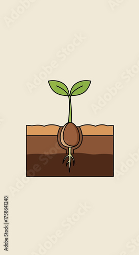Seed sprouting with roots and leaves emerging from soil layers.