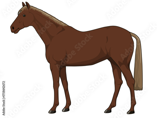 栃栗毛の馬（サラブレット）