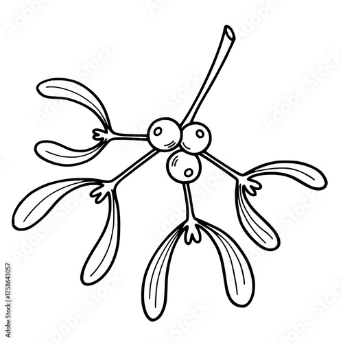 A charming hand-drawn doodle of mistletoe, created with simple lines and a festive minimal design. Perfect for Christmas cards, holiday invitations, posters, and seasonal decorations.