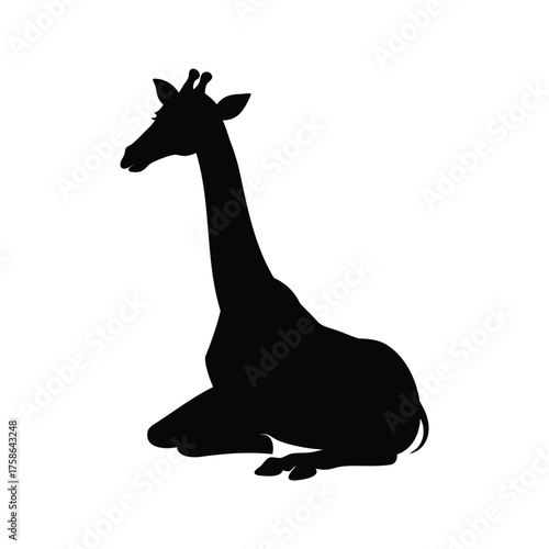 Black Silhouette of a Giraffe Resting, Against a Plain White Background, giraffe sitting silhouette vector illustration