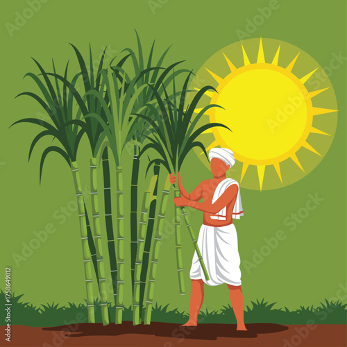 Farmer harvesting tall sugar cane stalks under a bright sunny sky agricultural labor