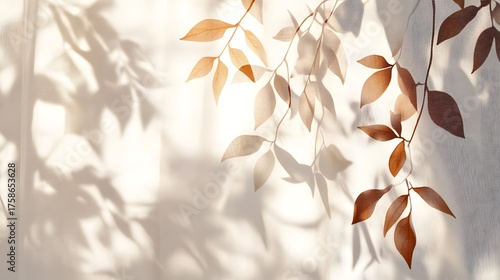 Light and shadow play on autumn leaves seen through a sheer fabric.