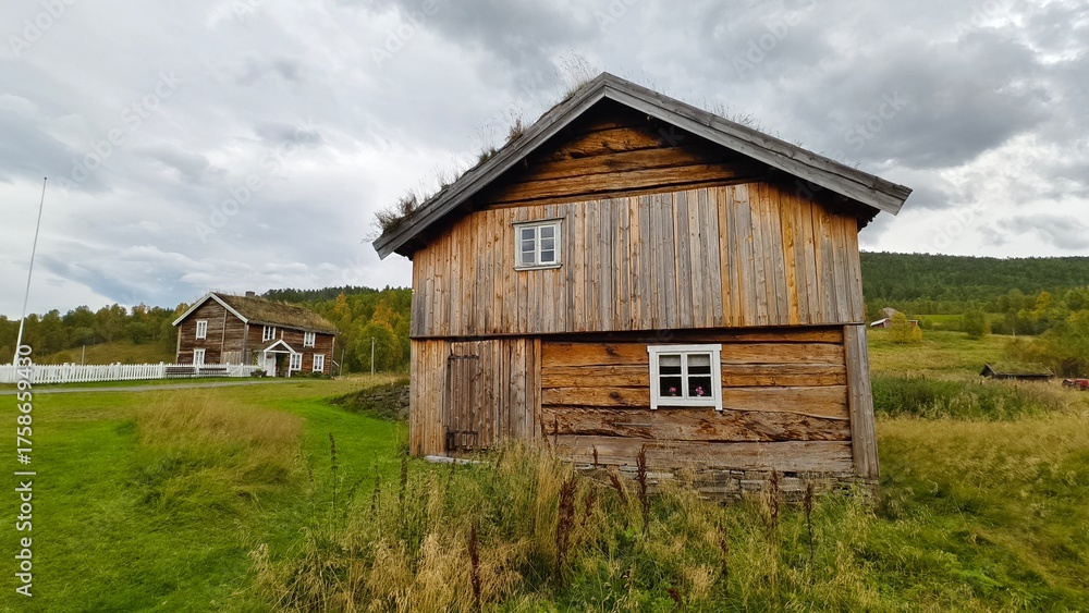 Obraz premium Wooden timbered building with grass roof architecture in Norway