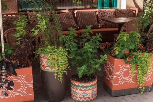 A city street cafe and vibrant flowers in ornamented pots
